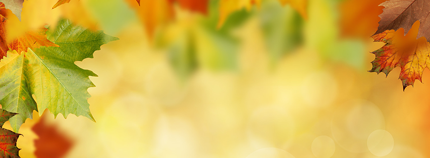 arrowthemes